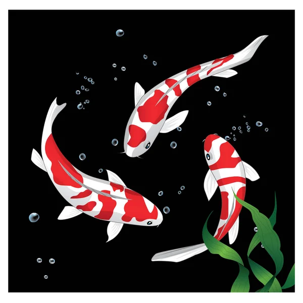 Koi Ψάρια Εικονογράφηση Κολύμπι Στο Νερό Διασκέδαση Για Κάνει Αφίσες — Διανυσματικό Αρχείο