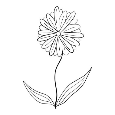 El çizimi çiçek beyaz arka planda izole. Vektör çiçekli yaz elementi. Dekoratif karalama çizimi çizimi.
