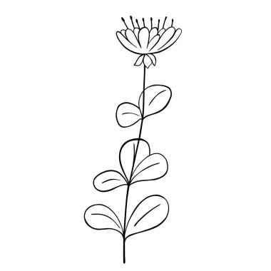 El çizimi çiçek beyaz arka planda izole. Vektör çiçekli yaz elementi. Dekoratif karalama çizimi çizimi.