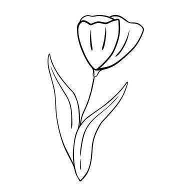 El çizimi çiçek beyaz arka planda izole. Vektör çiçekli yaz elementi. Dekoratif karalama çizimi çizimi.