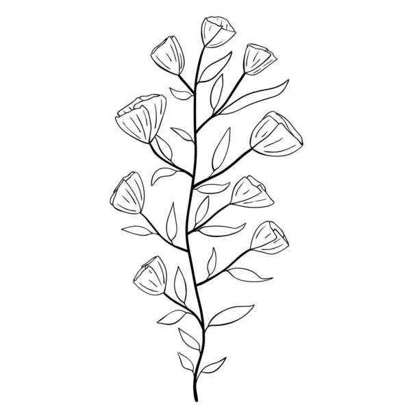 Ručně Kreslené Květiny Izolované Bílém Pozadí Vektorový Letní Prvek Dekorativní — Stockový vektor