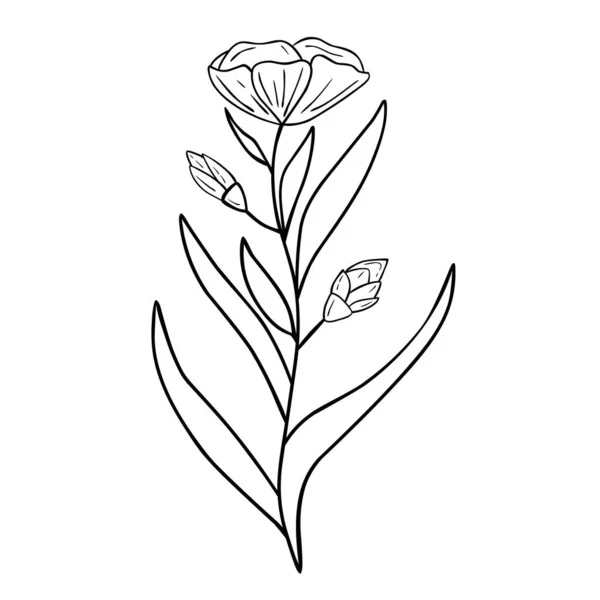 Ручной Рисунок Цветок Изолирован Белом Фоне Векторный Цветочный Летний Элемент — стоковый вектор