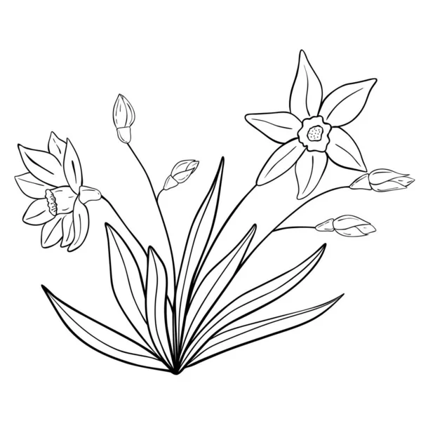 Fleur Dessinée Main Isolée Sur Fond Blanc Élément Vectoriel Floral — Image vectorielle