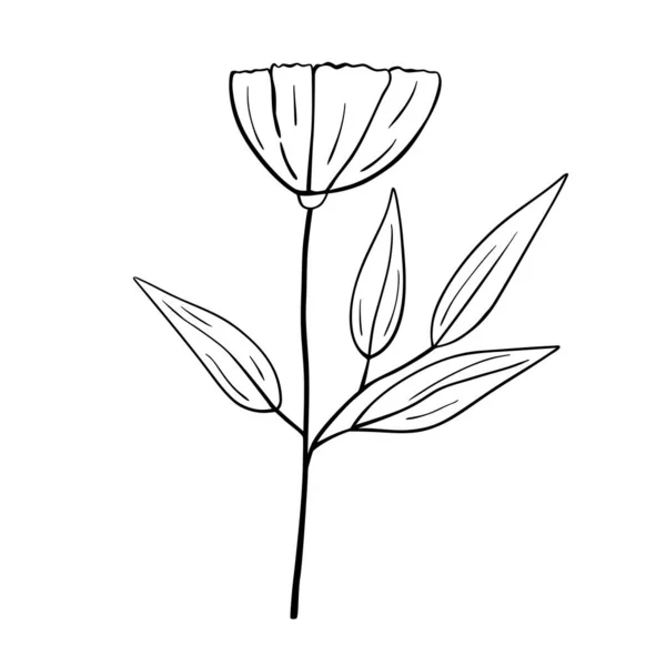白地に孤立した手描きの花 ベクトルフラワー夏の要素 装飾的なドアスケッチイラスト — ストックベクタ