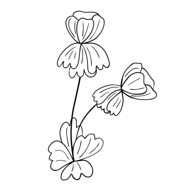 Flor Dibujada Mano Aislada Sobre Fondo Blanco Vector Floral Elemento — Archivo Imágenes Vectoriales