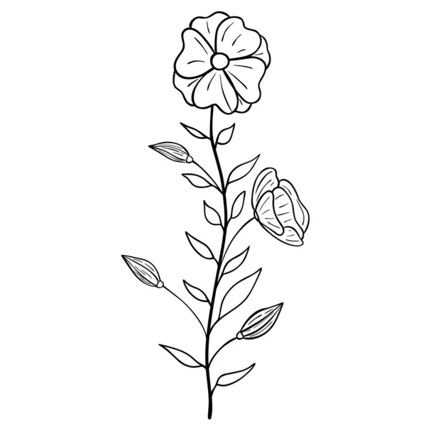 Handgezeichnete Blume Isoliert Auf Weißem Hintergrund Vektor Florales Sommerelement Dekorative — Stockvektor