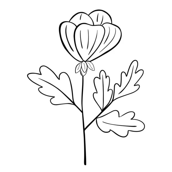 Flor Dibujada Mano Aislada Sobre Fondo Blanco Vector Floral Elemento — Vector de stock