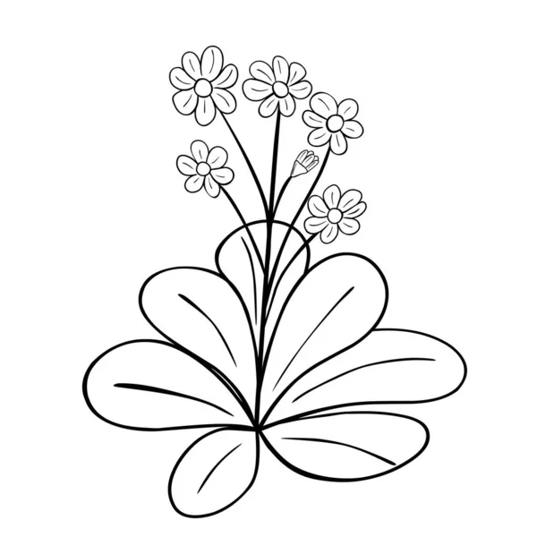 Ручной Рисунок Цветок Изолирован Белом Фоне Векторный Цветочный Летний Элемент — стоковый вектор