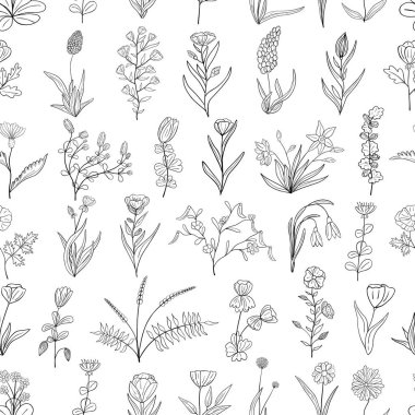 Çiçek ve yaprakların el çizimi kusursuz desen. Çiçekli yaz koleksiyonu. Tebrik kartı, duvar kağıdı, ambalaj kağıdı, kumaş, ambalaj için dekoratif karalama çizimi