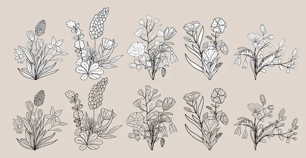 Set Disegnato Mano Fiori Fiore Collezione Estiva Floreale Elementi Schizzo — Vettoriale Stock