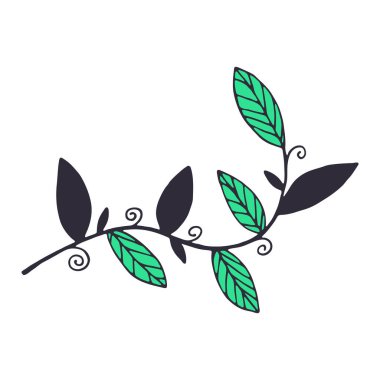 Beyaz arka planda izole edilmiş yaprakları olan el yapımı bir dal. Renkli dekoratif karalama çizimi. Şirin vektör çiçek elementi.