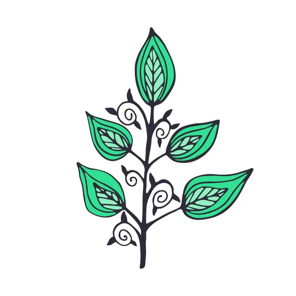 Ручной Рисунок Ветки Листьями Изолированы Белом Фоне Красочные Декоративные Каракули — стоковый вектор