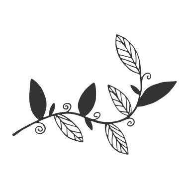 Hand drawn branch with leaves isolated on white background. Decorative doodle sketch illustration. Vector floral element.