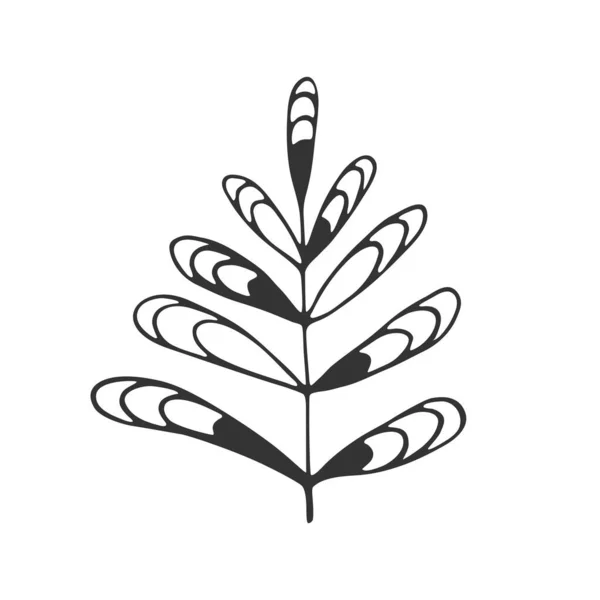 Hand Gezeichneter Zweig Mit Blättern Auf Weißem Hintergrund Dekorative Kritzelskizze — Stockvektor