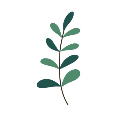 Hand drawn branch with leaves isolated on white background. Decorative doodle sketch illustration. Vector floral element.