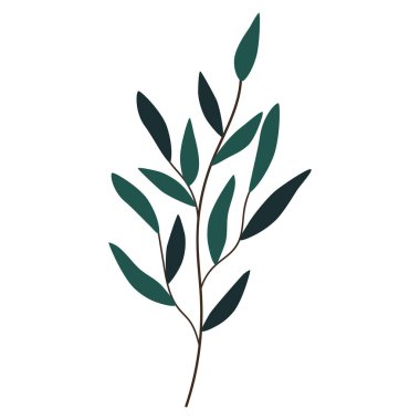 Hand drawn branch with leaves isolated on white background. Decorative doodle sketch illustration. Vector floral element.