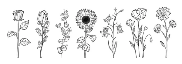 Set Disegnato Mano Fiori Fiore Collezione Estiva Floreale Elementi Schizzo — Vettoriale Stock