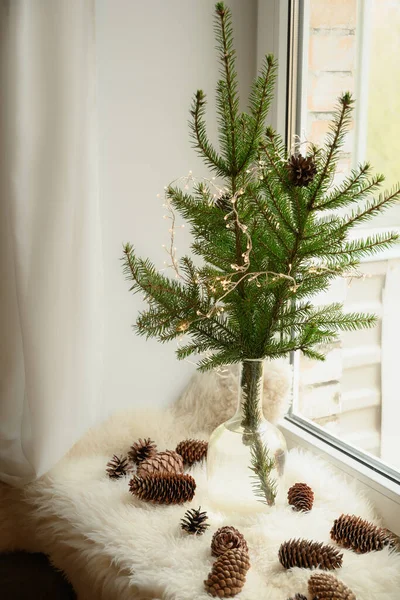 Alternative Christmas tree of natural branches in vase on windowsill. Cozy weekend. — Stock Photo, Image