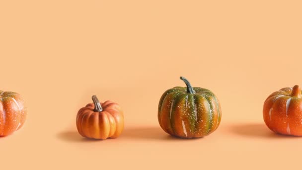 Slow motion of Pumpkins for Halloween and Thanksgiving Day. Vídeo 4k. — Vídeo de stock