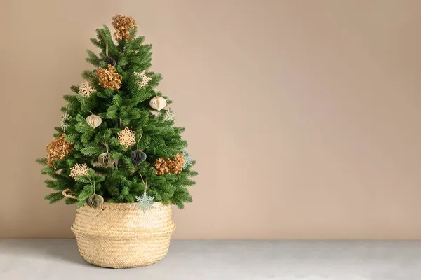 Hasır sepetteki Eko Noel ağacı kurumuş çiçekler ve doğal malzemeler.. — Stok fotoğraf