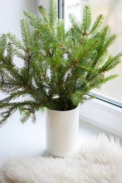 Árvore de Natal alternativa em vaso com ramos de abeto naturais. — Fotografia de Stock