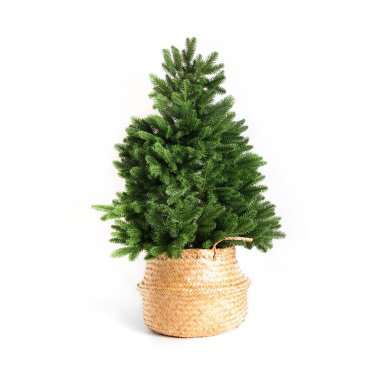 Beyaz arka planda izole edilmiş yapay Noel ağacı. Noel tatili. Yeniden kullanılabilir Noel ağacı.