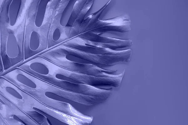 Tropische Palmblatt-Monstera lackiertes Metall mit neonrosa-blauer Farbe. abstraktes Muster für Design. — Stockfoto