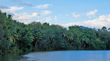 Thiruparappu Şelalesi 'nden nehrin güzel manzarası. Renk efektleri ile inanılmaz doğal bir arka plan. Hindistan, Tamilnadu 'daki Kanyakumari Bölgesi' nde hafta sonu kapısı veya piknik yeri
