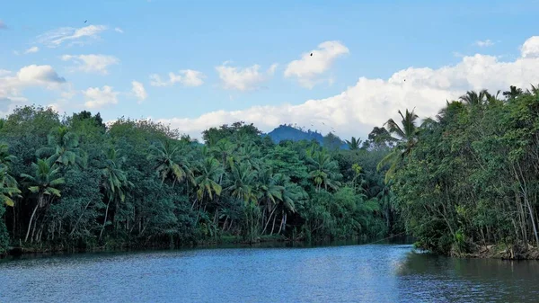 Bella Vista Sul Paesaggio Dal Fiume Sopra Cascate Thiruparappu Incredibile — Foto Stock