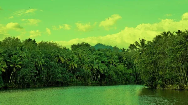 从Thiruparappu上方的河流俯瞰美丽的风景 令人惊奇的自然背景和色彩效果 印度泰米尔纳德邦Kanyakumari区周末门户或野餐地点 — 图库照片