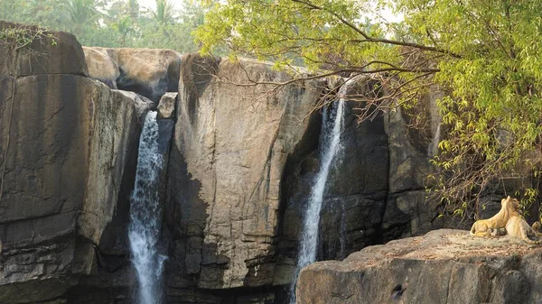 Thirparappu Wasserfälle Erstaunlicher Touristenort Mit Wasser Felsen Und Schöner Landschaft — Stockfoto