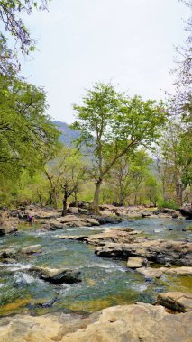 Hogenakkal 'ın güzel manzaraları, Tamilnadu, Hindistan. Bangalore City 'den 120 kilometre uzakta bir turistik yer. En iyi bir günlük piknik yeri.