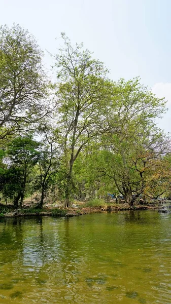 Hogenakkal 'ın güzel manzaraları, Tamilnadu, Hindistan. Bangalore City 'den 120 kilometre uzakta bir turistik yer. En iyi bir günlük piknik yeri.