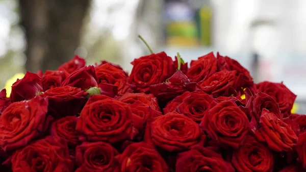 Gros Plan Fond Roses Rouges Texture Naturelle Symbole Amour Saint — Photo