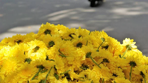 Close Van Een Bos Van Indiase Chrysant Bloemen Achtergrond Natuurlijke — Stockfoto