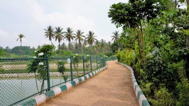 Bangalore, Karnataka, Hindistan: 23 Nisan 2022: BBMP Kalena Agrahara Gölü 'nün güzel manzarası. Yedi dönüm araziye tatlı su ve yoğun yeşil göl serpiştir. MPLADS fonuyla Nirmala Sitharaman tarafından yenilenmiş. MP Yerel Alan Geliştirme Şeması.