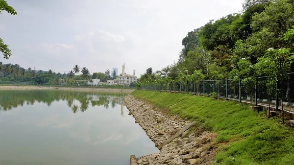 印度卡纳塔克邦班加罗尔 2022年4月23日 Bbmp Kalena Agrahara湖美景 分布在7英亩的土地上 有淡水 茂密的绿树湖水 由Nirmala Sitharaman通过其Mplads基金恢复 — 图库照片