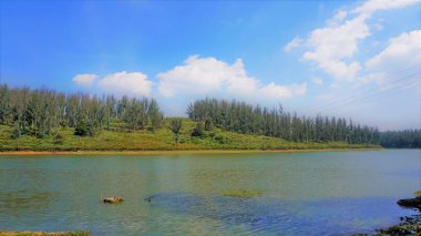 Çam ormanı, Ooty, Tamilnadu, Hindistan 'dan Sandynulla Gölü' nün güzel manzarası. Güney Hindistan 'ın en sevdiği balayı yeri..