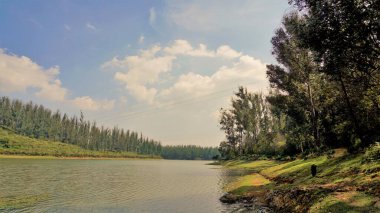 Çam ormanı, Ooty, Tamilnadu, Hindistan 'dan Sandynulla Gölü' nün güzel manzarası. Güney Hindistan 'ın en sevdiği balayı yeri..
