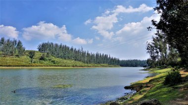 Çam ormanı, Ooty, Tamilnadu, Hindistan 'dan Sandynulla Gölü' nün güzel manzarası. Güney Hindistan 'ın en sevdiği balayı yeri..