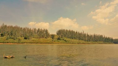 Çam ormanı, Ooty, Tamilnadu, Hindistan 'dan Sandynulla Gölü' nün güzel manzarası. Güney Hindistan 'ın en sevdiği balayı yeri..