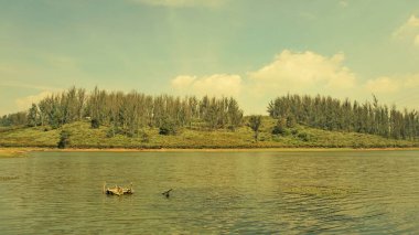 Çam ormanı, Ooty, Tamilnadu, Hindistan 'dan Sandynulla Gölü' nün güzel manzarası. Güney Hindistan 'ın en sevdiği balayı yeri..