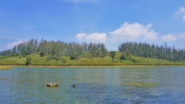 Çam ormanı, Ooty, Tamilnadu, Hindistan 'dan Sandynulla Gölü' nün güzel manzarası. Güney Hindistan 'ın en sevdiği balayı yeri..