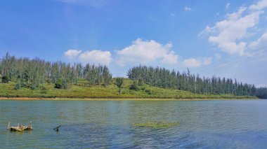 Çam ormanı, Ooty, Tamilnadu, Hindistan 'dan Sandynulla Gölü' nün güzel manzarası. Güney Hindistan 'ın en sevdiği balayı yeri..