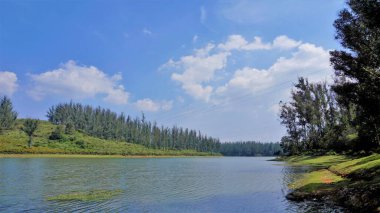Çam ormanı, Ooty, Tamilnadu, Hindistan 'dan Sandynulla Gölü' nün güzel manzarası. Güney Hindistan 'ın en sevdiği balayı yeri..