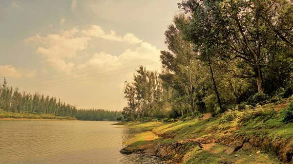 Beautiful Landscape View Sandynulla Lake Pine Forest Ooty Tamilnadu India — ストック写真