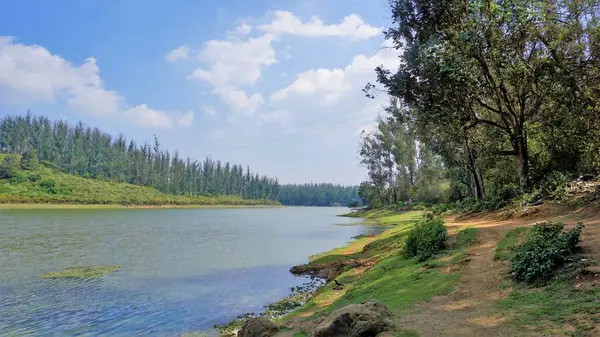 Çam ormanı, Ooty, Tamilnadu, Hindistan 'dan Sandynulla Gölü' nün güzel manzarası. Güney Hindistan 'ın en sevdiği balayı yeri..