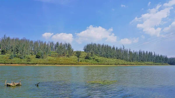 Çam ormanı, Ooty, Tamilnadu, Hindistan 'dan Sandynulla Gölü' nün güzel manzarası. Güney Hindistan 'ın en sevdiği balayı yeri..