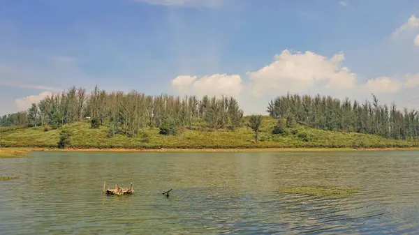 Çam ormanı, Ooty, Tamilnadu, Hindistan 'dan Sandynulla Gölü' nün güzel manzarası. Güney Hindistan 'ın en sevdiği balayı yeri..