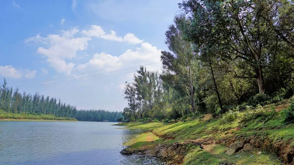 Beautiful Landscape View Sandynulla Lake Pine Forest Ooty Tamilnadu India — ストック写真